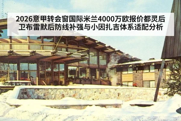 2026意甲转会窗国际米兰4000万欧报价都灵后卫布雷默后防线补强与小因扎吉体系适配分析